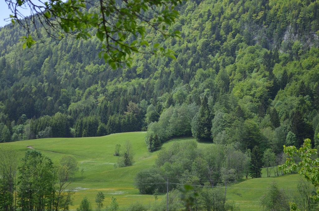 Bauernhof Konig Villa Anger  Екстериор снимка