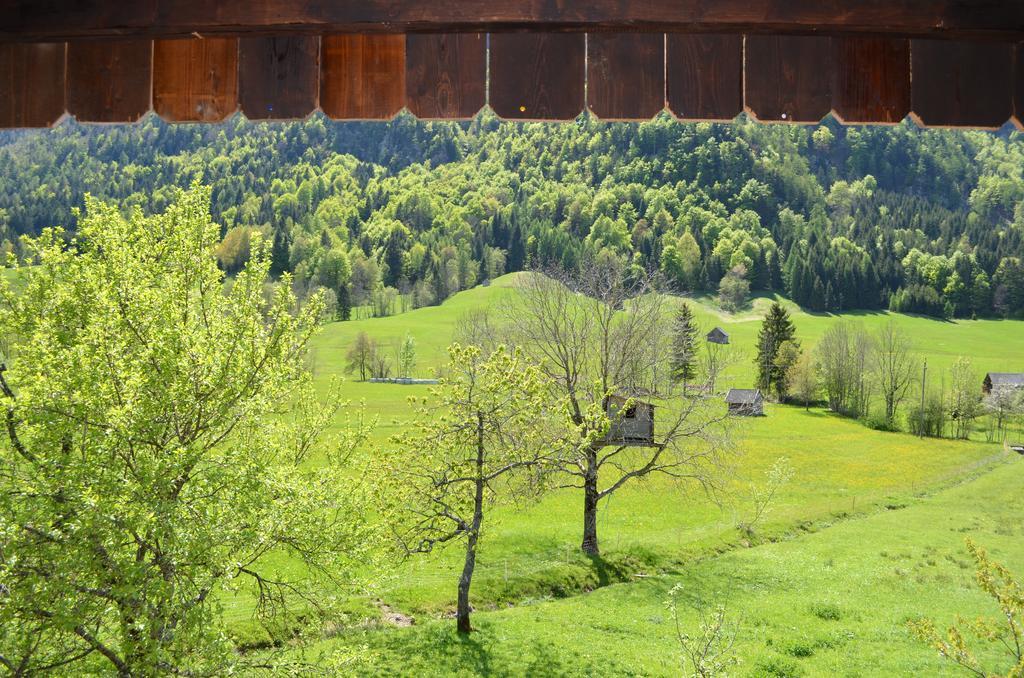 Bauernhof Konig Villa Anger  Екстериор снимка