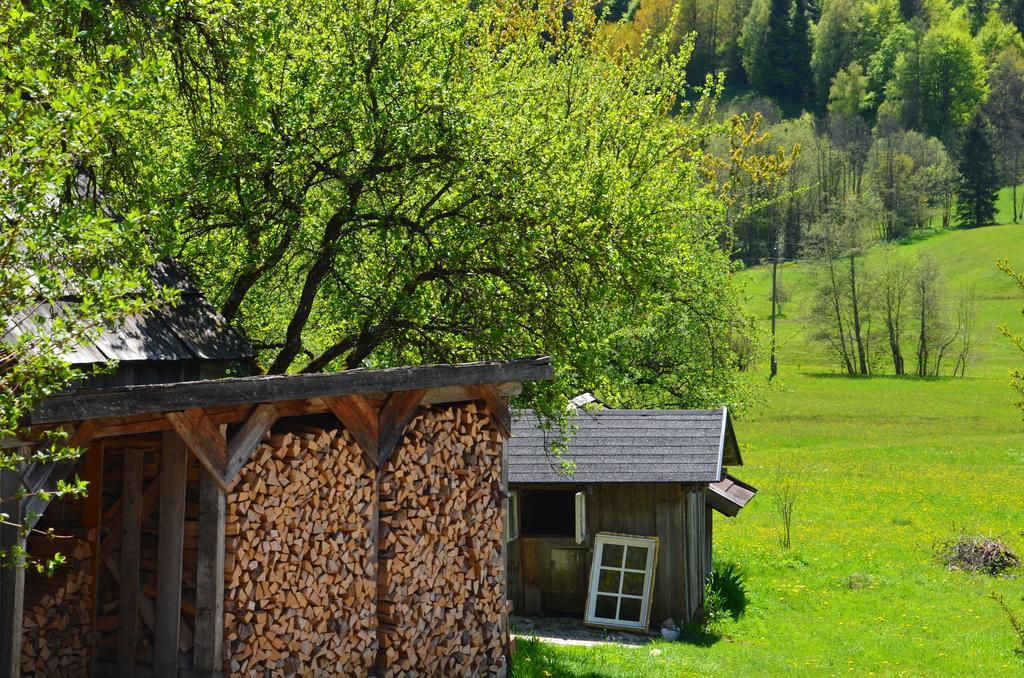 Bauernhof Konig Villa Anger  Екстериор снимка